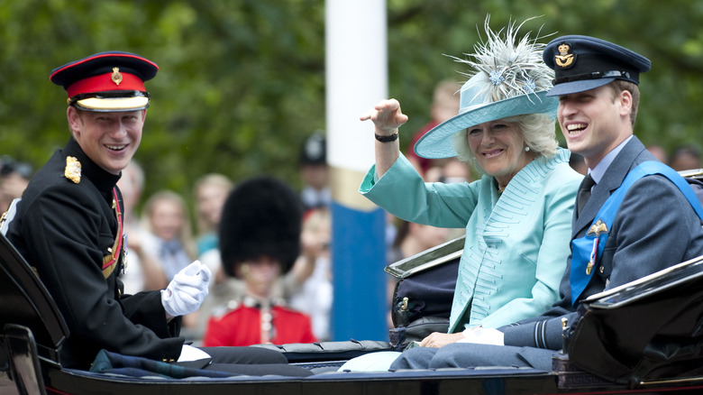 Prince Harry, Queen Camilla, and Prince William in carriage