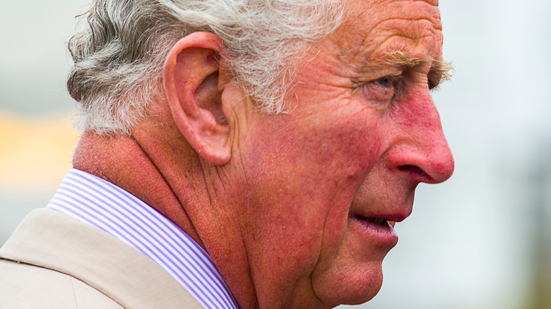 Prince Charles looking serious in profile