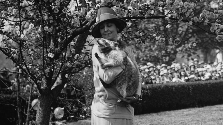 Grace Coolidge with raccoon Rebecca