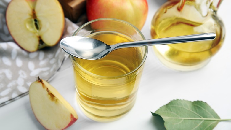 spoonful of apple cider vinegar