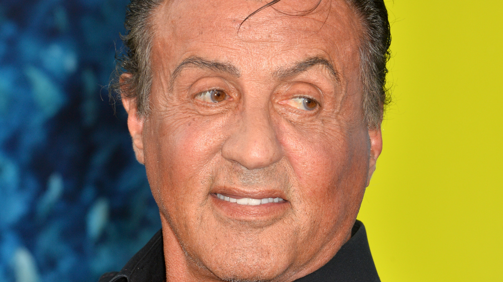 Sylvester Stallone Poses with His 'Loving' Daughters,' Jokes He Wants Them  to 'Stop Growing