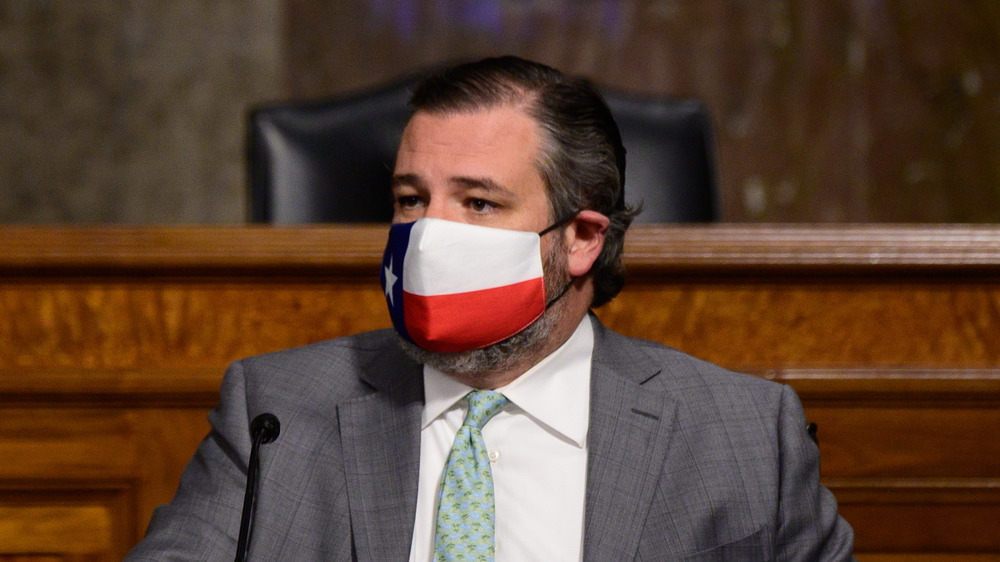 Ted Cruz at a Homeland Affairs meeting in the Senate