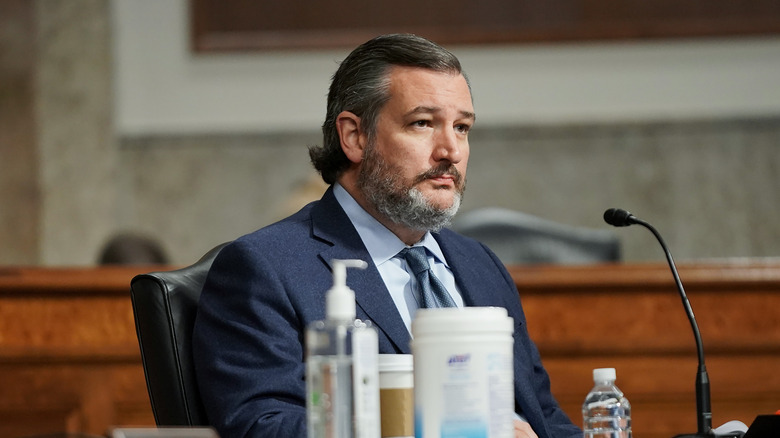 Ted Cruz in the Senate