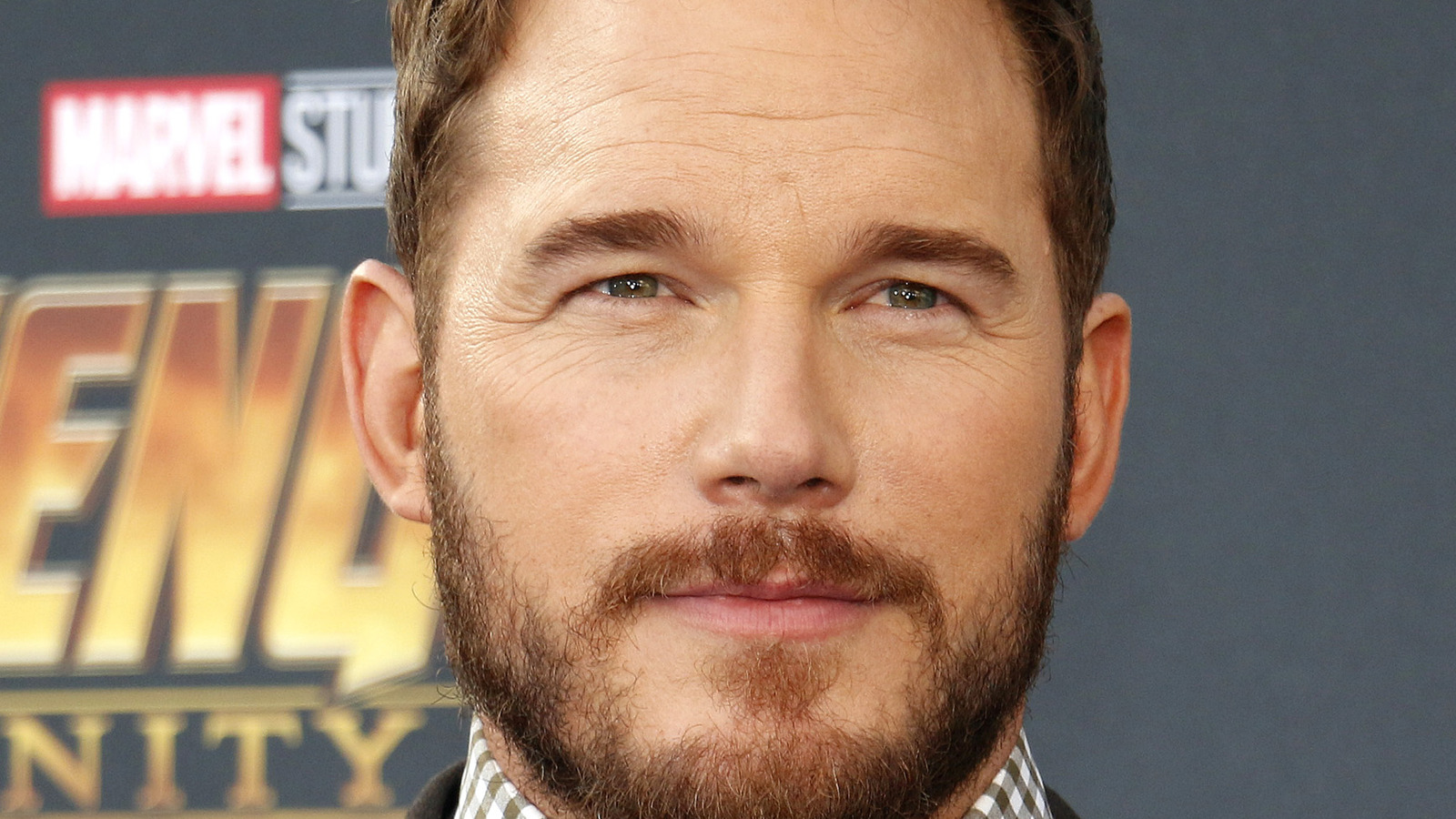 Why The Internet Is Divided Over Chris Pratt Voicing Garfield