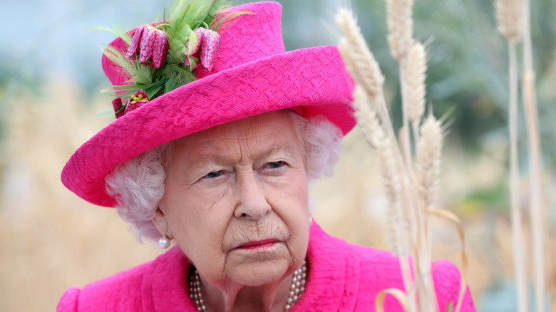 Queen Elizabeth wears a pink dress during an outing.