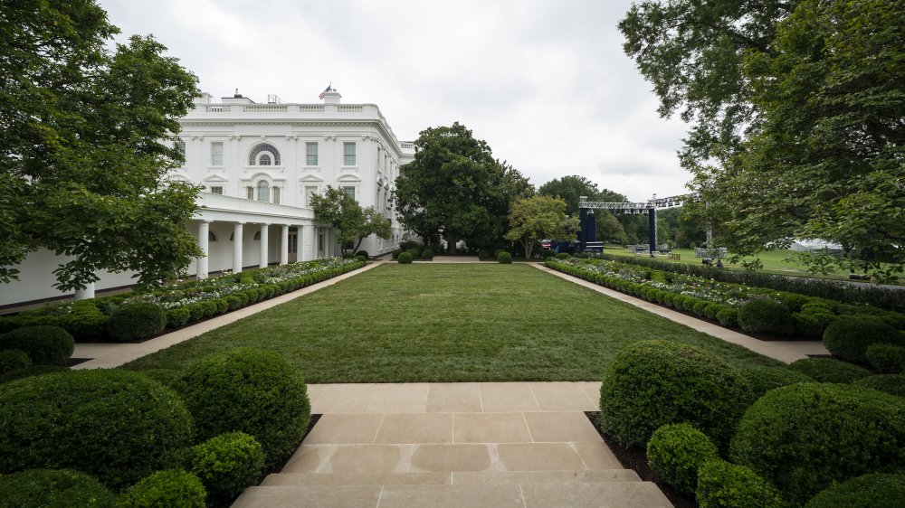 Long view, renovated White House Rose Garden