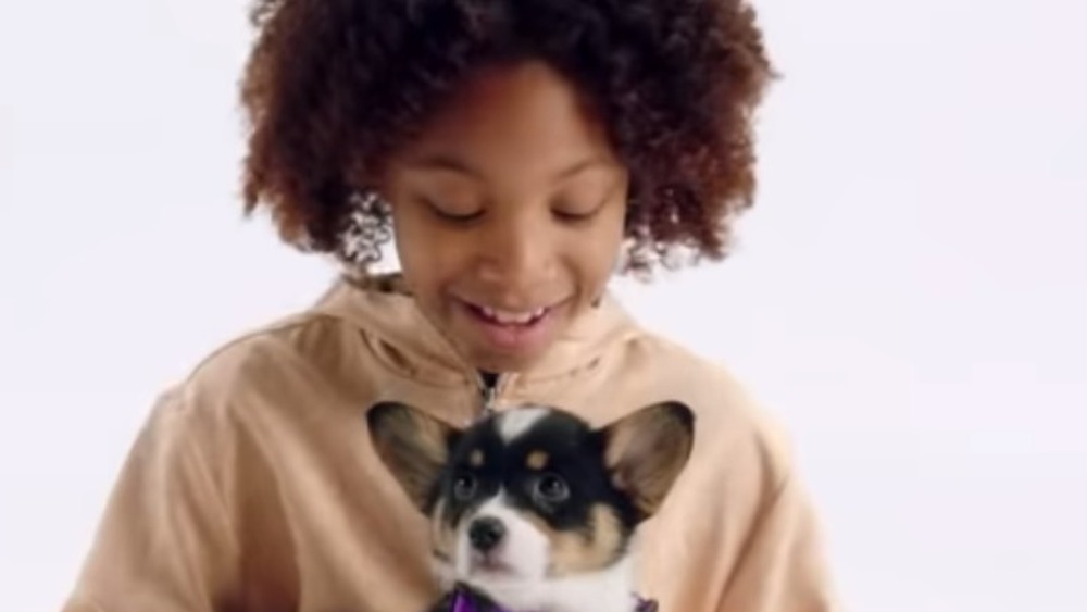 Image from the video "Puppy for Hanukkah"