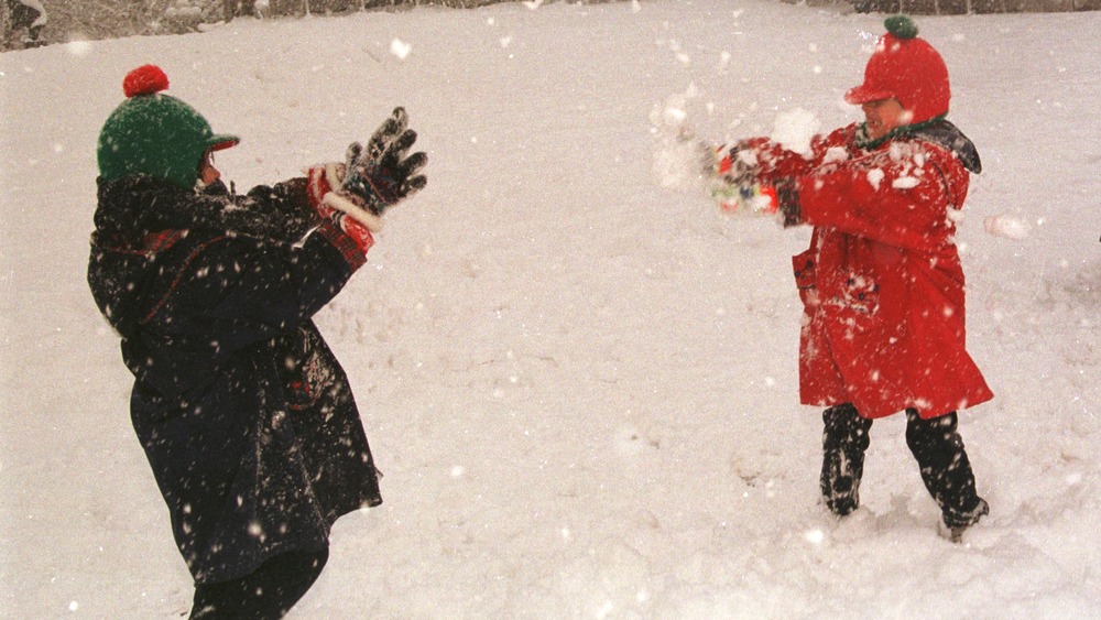 Children having a snowball fight