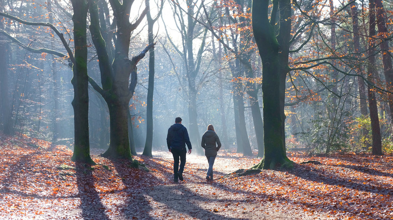 two people walking through a small forest