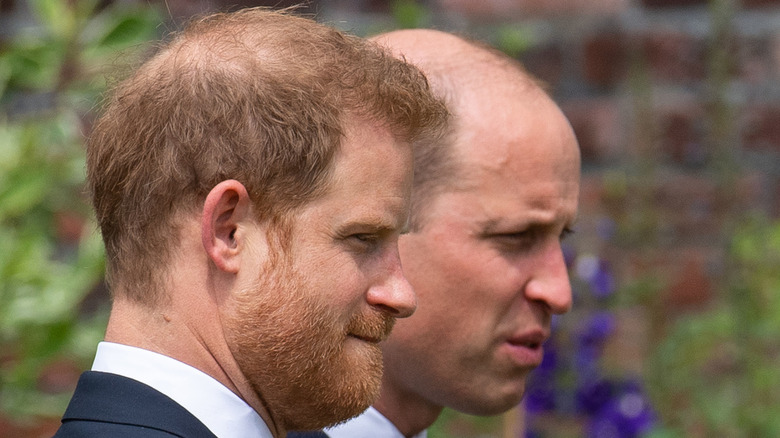 Prince William Prince Harry Diana statue