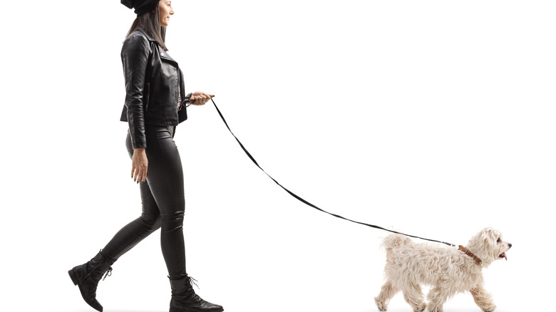 A woman wearing leather pants while walking her dog