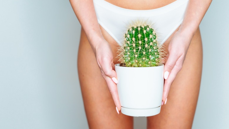 Woman holding cactus, 