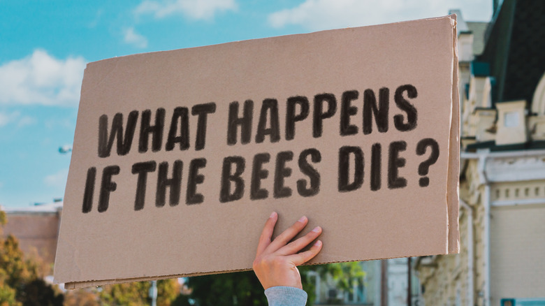 protest sign supporting bees