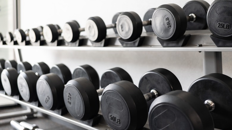 Dumbbells in different sizes 