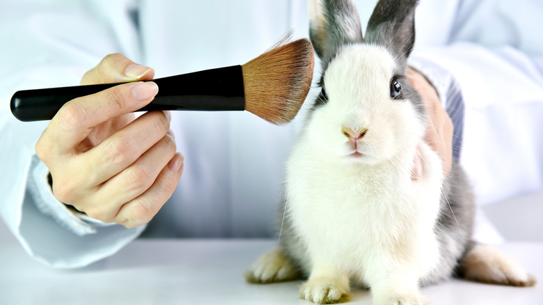 makeup brush and bunny