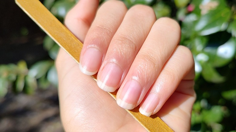 Why Your Cuticles Might Be Growing In So Fast