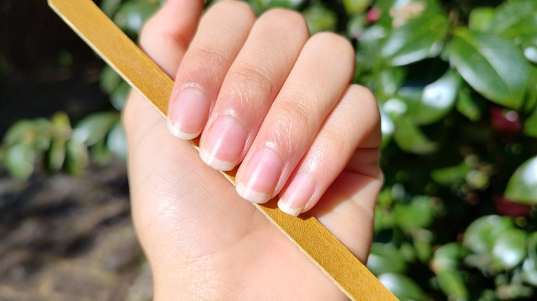 Healthy nails with an emery board