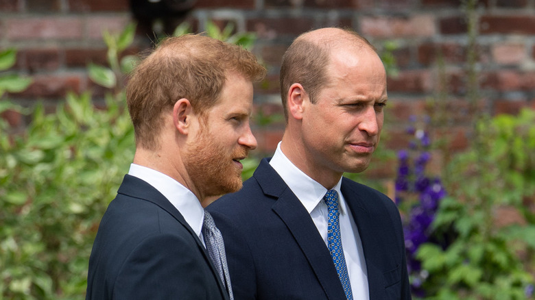 Princes Harry and William July 2021
