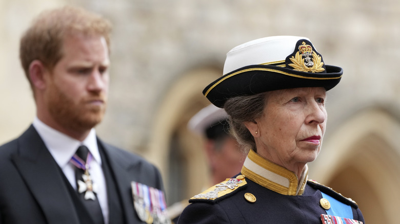 Will Princess Anne Build The Bridge Between Prince Harry And The Rest ...