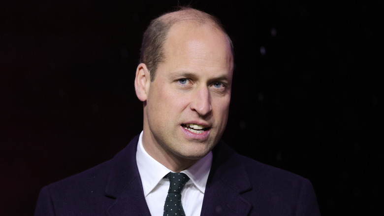 Prince William during speech in Boston 