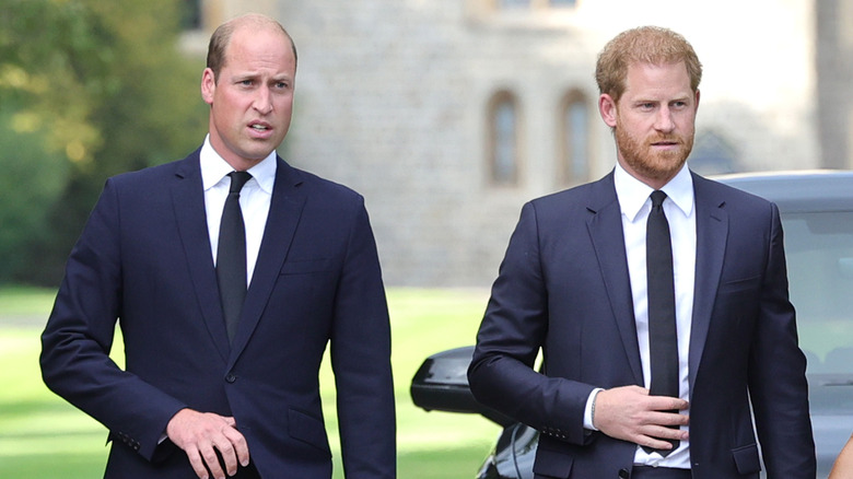 Princes William and Harry walking together at Windsor Castle