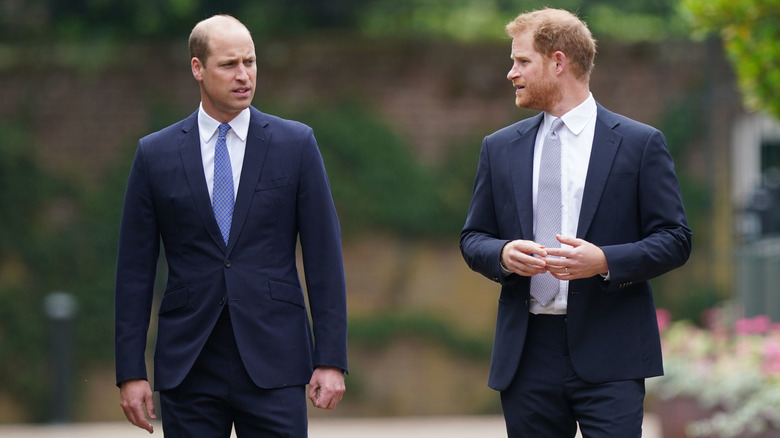 Prince William and Prince Harry look at each other