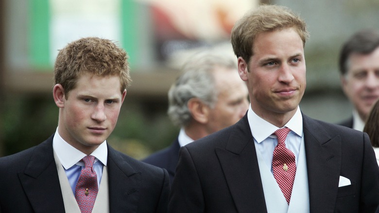 Prince Harry and Prince William standing together in 2006