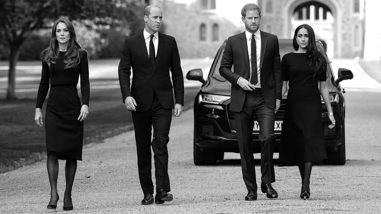 william, kate, meghan, harry