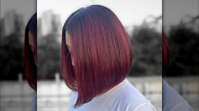 Angled bob with wine color