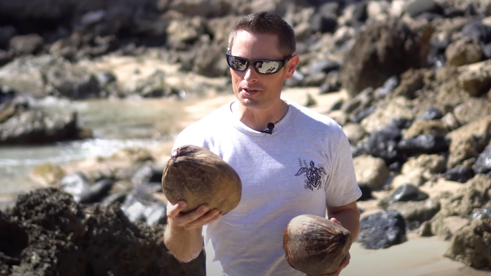 Grant Thompson opening a coconut 