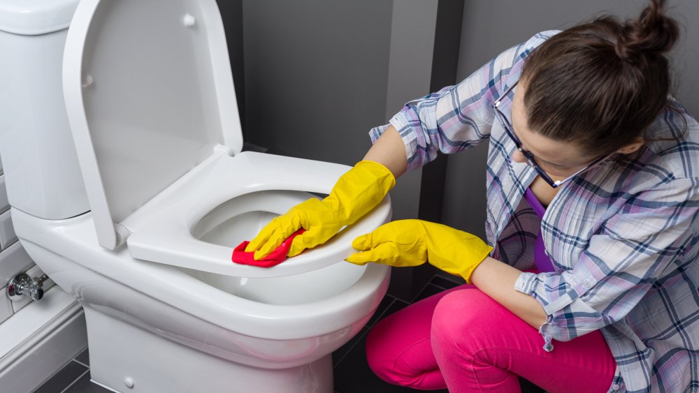 Woman cleaning toilet