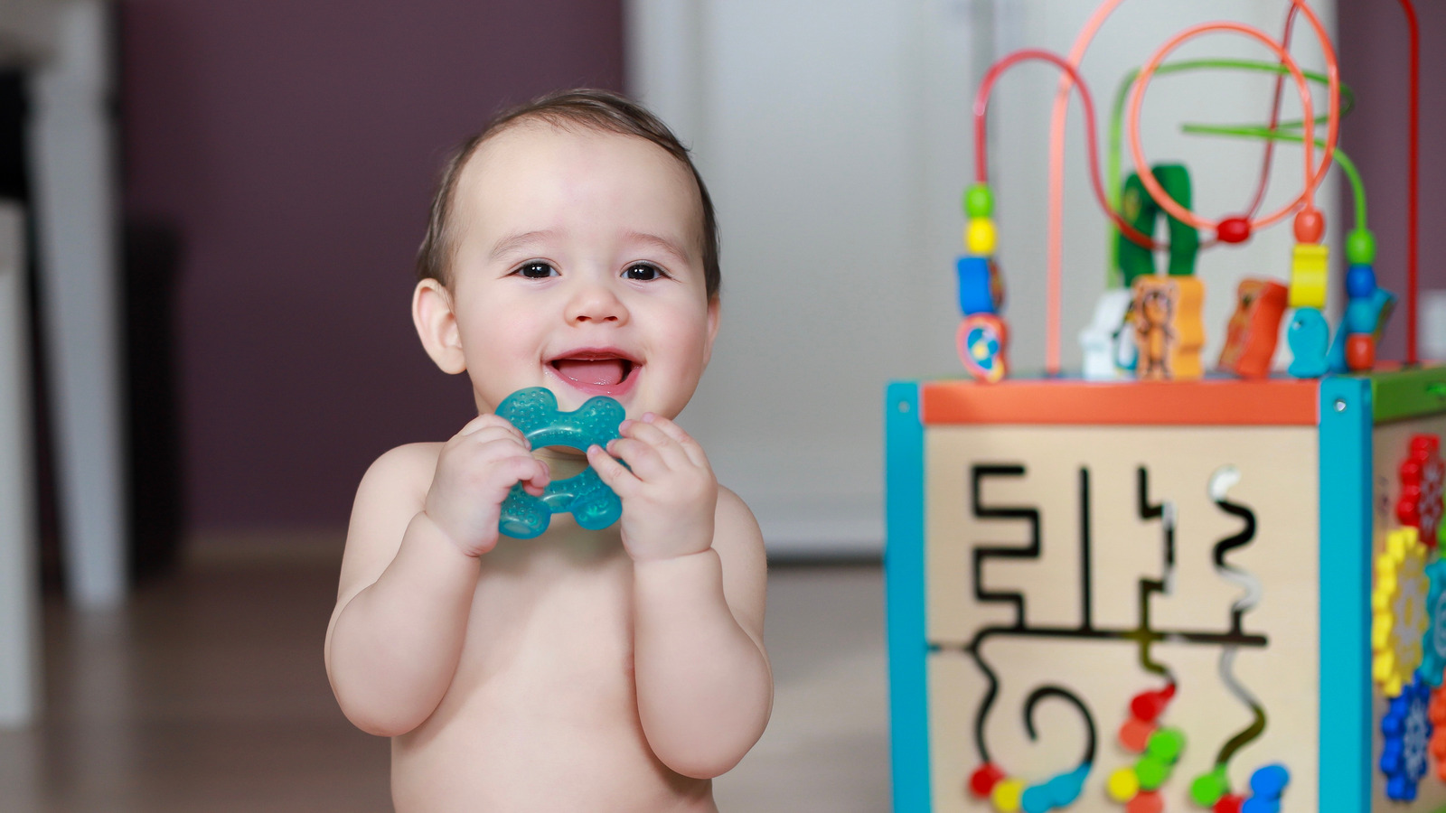 How to Clean Baby Toys  Dishwasher Cleaning Hack - Fun Cheap or Free