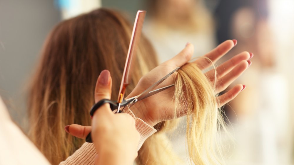 Hair stylist cutting hair