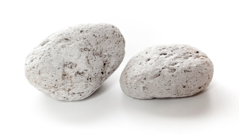 Two light gray pumice stones on a white background.