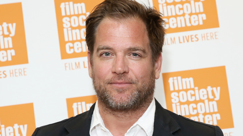 Michael Weatherly poses for the camera