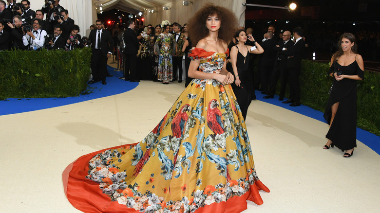 Zendaya in yellow floral gown at Met Gala