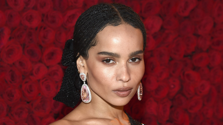 Zoe Kravitz poses at an event